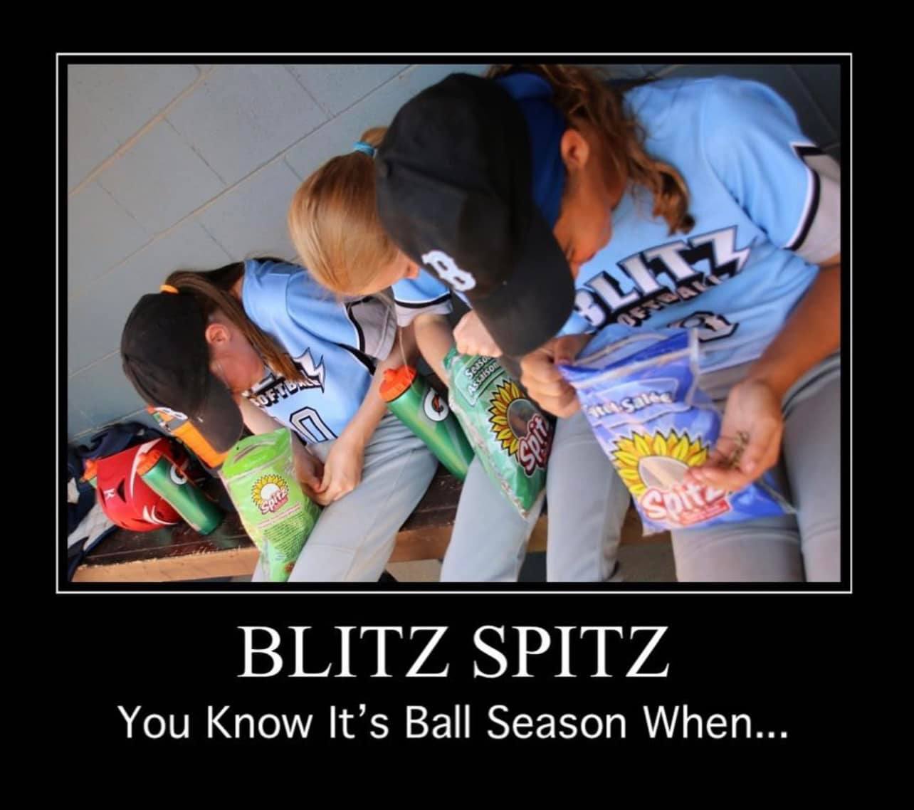 blitz spitz