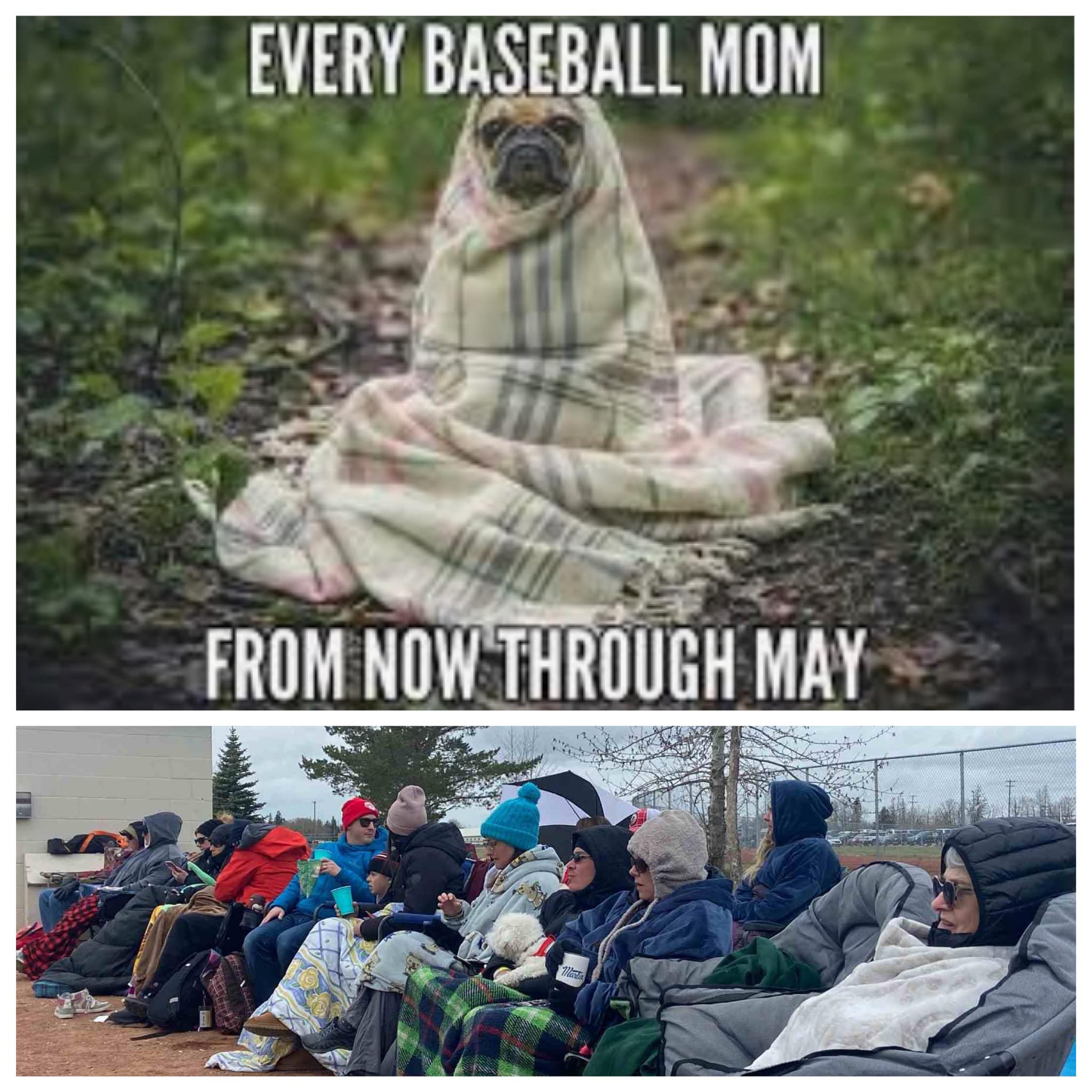 fans in blankets fans in blankets